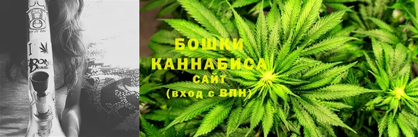 индика Верхнеуральск